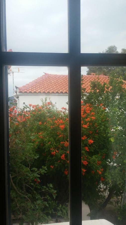 Window To The Aegean Villa Velanidia Dış mekan fotoğraf
